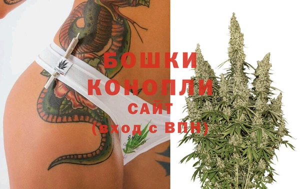гашик Баксан
