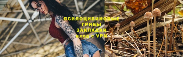 гашик Баксан